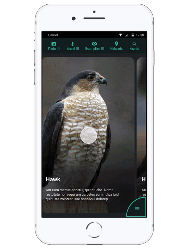 Birder App Interaction Demo