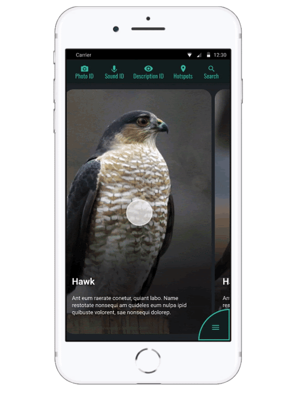 Birder App Interaction Demo