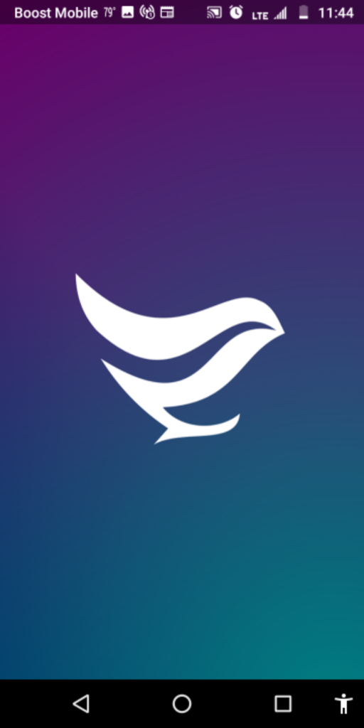 GoBird App Competitive Analysis