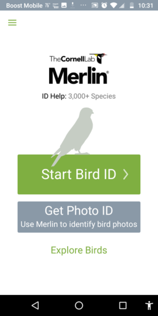Merlin App Competitive Analysis