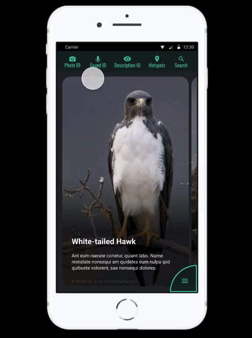 High Fidelity Mockup - Main View