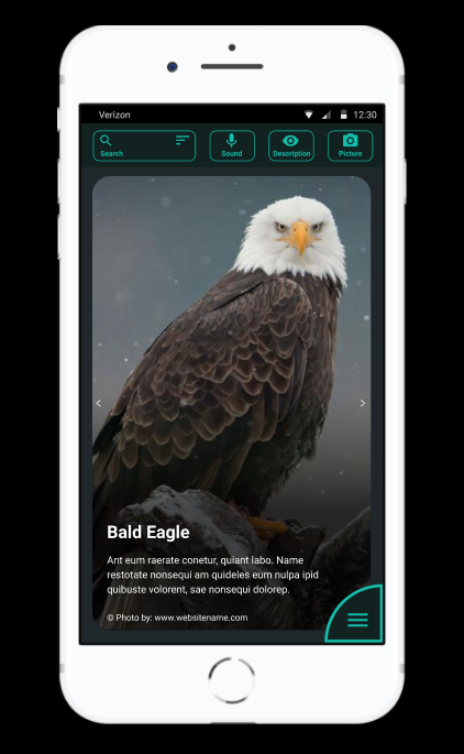 High Fidelity Mockup - Search