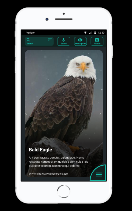 High Fidelity Mockup - Detail