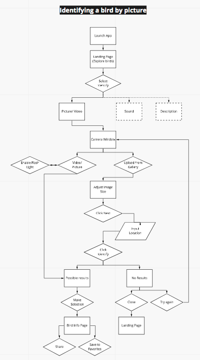 Identifying a bird by picture flow