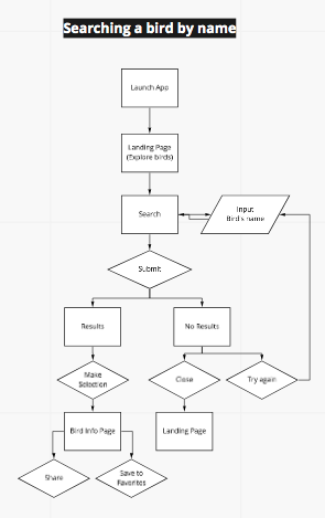 Searching a bird by name flow