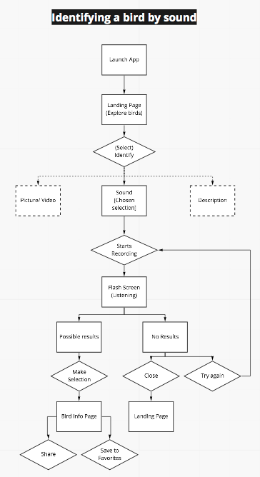 Identifying a bird by sound flow