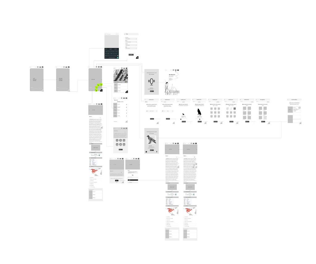Detailed User Wireflow
