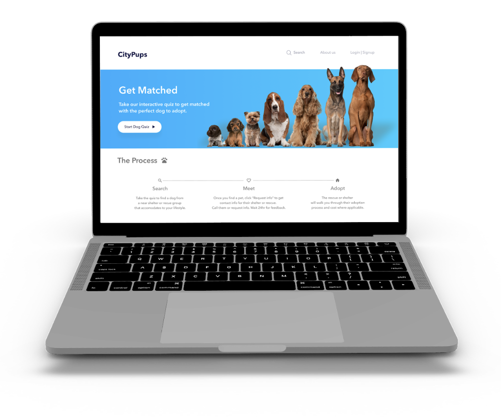 CityPups Dog Adoption Tool