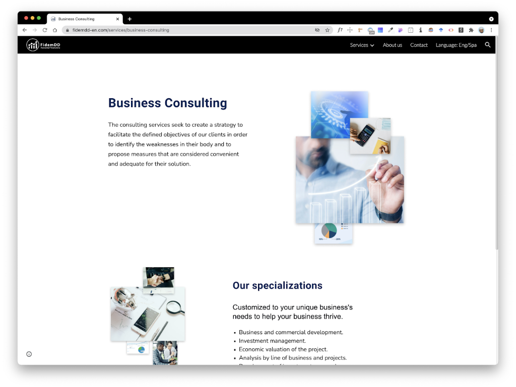 Final Solution: Business Consulting